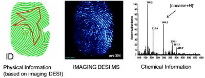 Two Fingerprint Images