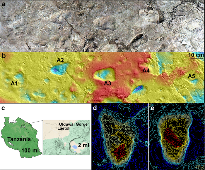 Five hominin footprints from Site A at Laetoli, Tanzania and contour maps; Tanzania map; and topographical maps of A2 and A3 footprints.