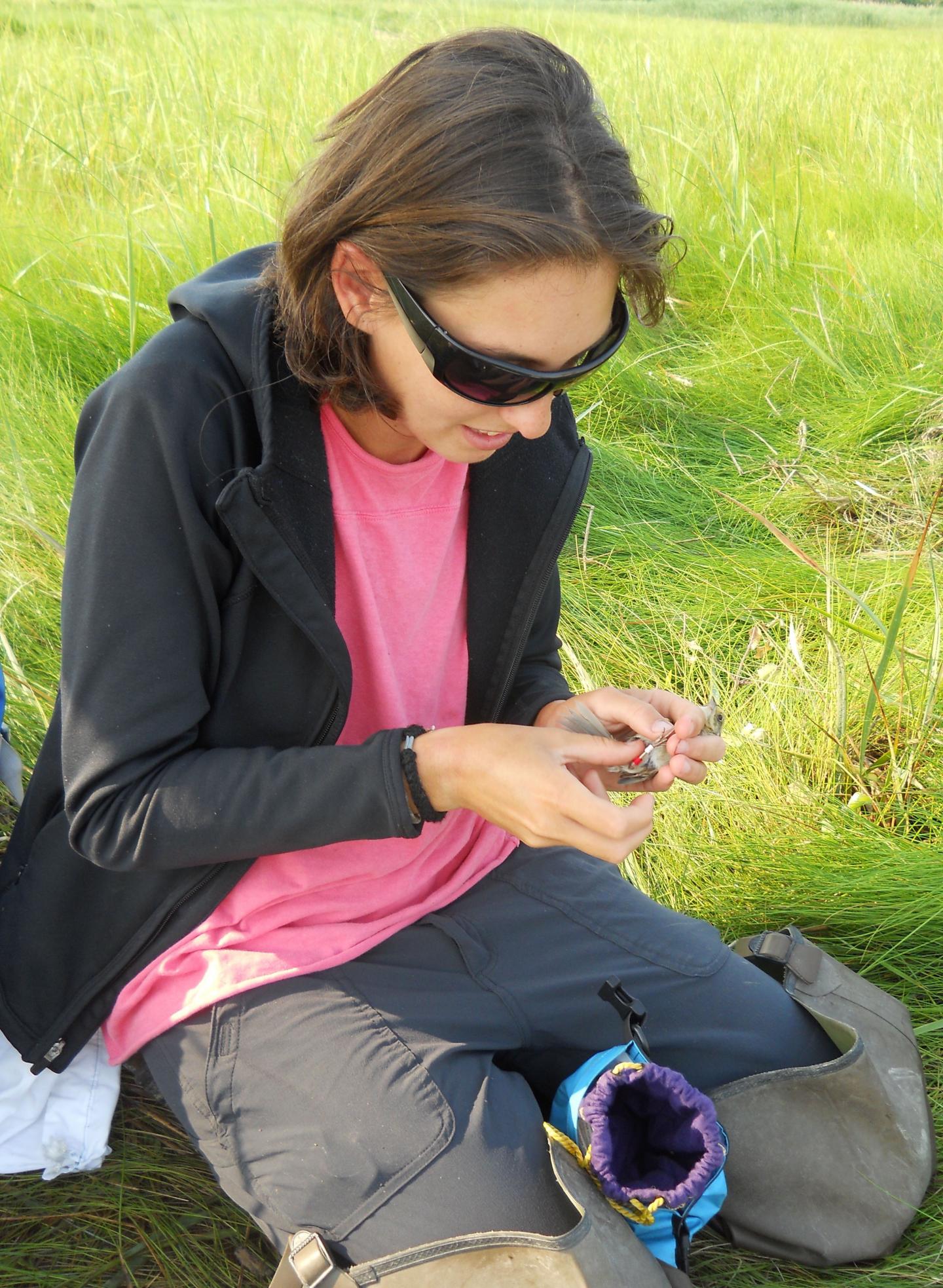 Jennifer Walsh, Cornell Univer [IMAGE] EurekAlert! Science News Releases