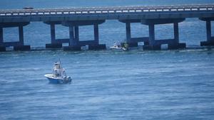 A great hammerhead taking a tarpon right at the boat in Bahia Honda.