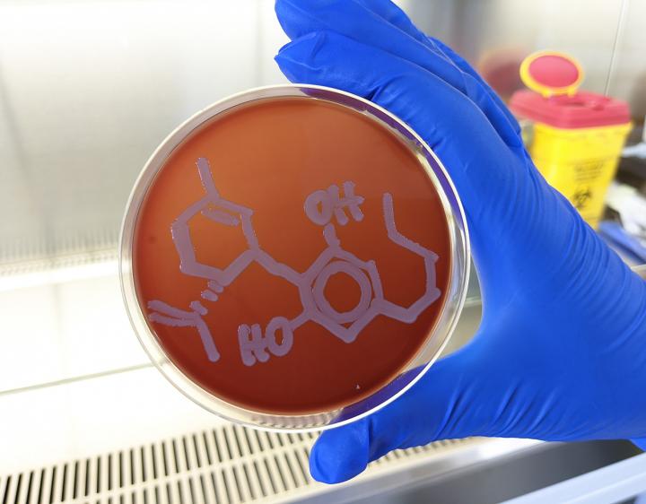 Synthetic cannabidiol