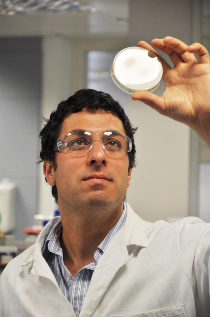 Ali Tavassoli, University of Southampton 