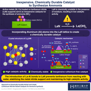 Inexpensive, Chemically Durable Catalyst to Synthesize Ammonia