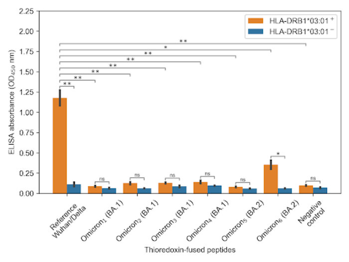 Peptides of the Wuhan basic variant and the Delta variant bind well with HLA-DRB1*03:01 (high orange column on the left), while Omicron BA.1 and BA.2 peptides are no longer recognised by this molecule