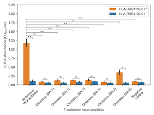 Peptides of the Wuhan basic variant and the Delta variant bind well with HLA-DRB1*03:01 (high orange column on the left), while Omicron BA.1 and BA.2 peptides are no longer recognised by this molecule