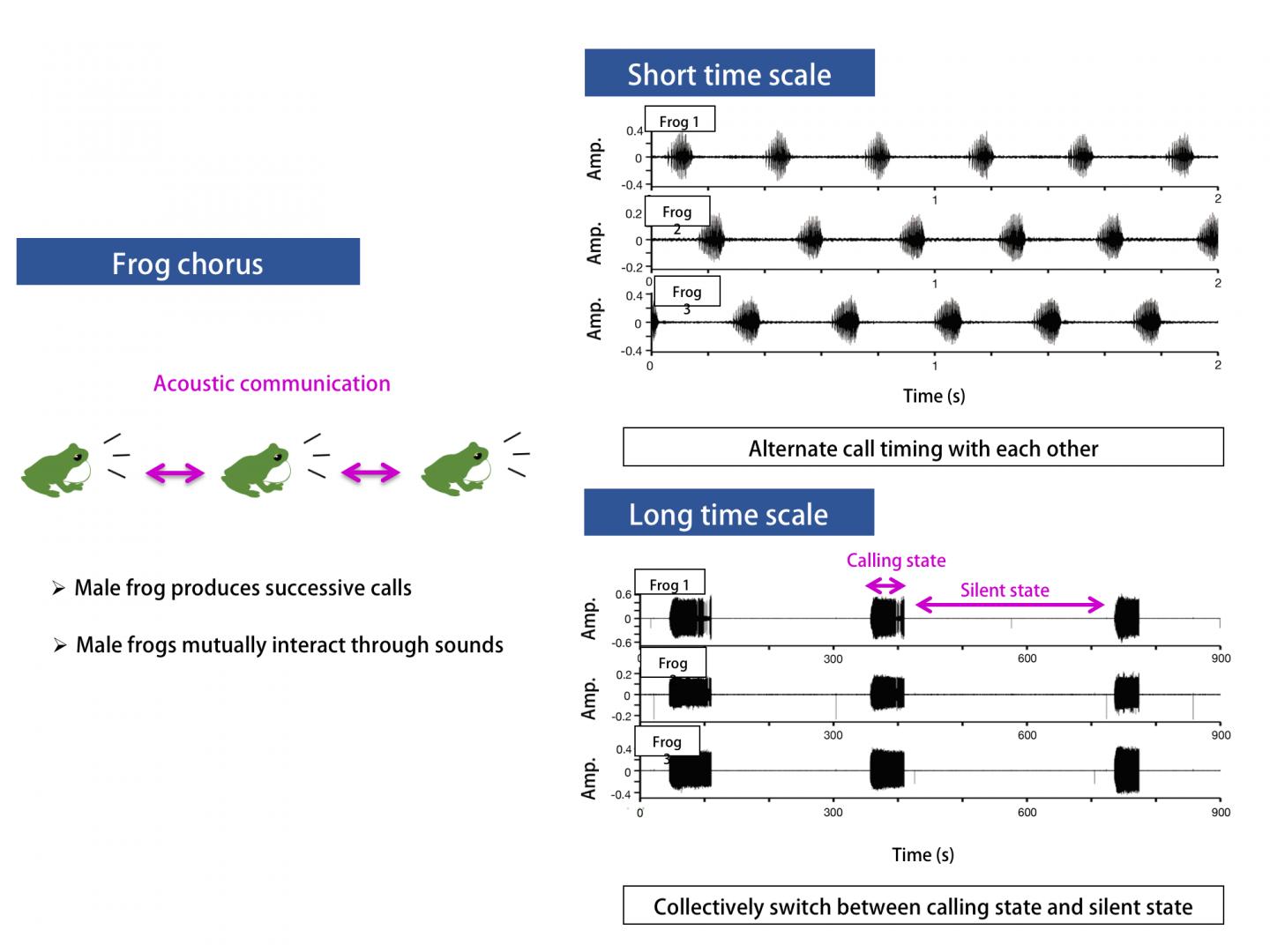 Figure 3. Empirical Data on a Frog Chorus