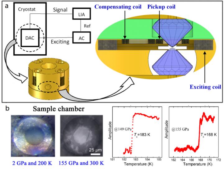 Pressure-Induced Superconductivity and Flattened Se6 Rings in the