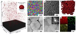 Microstructure of the AM NTD-Al alloy