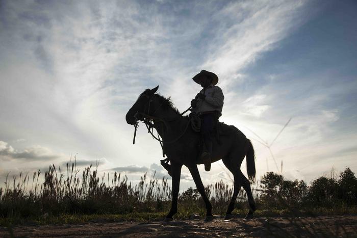 Rangelands cover 54% of all land on Earth