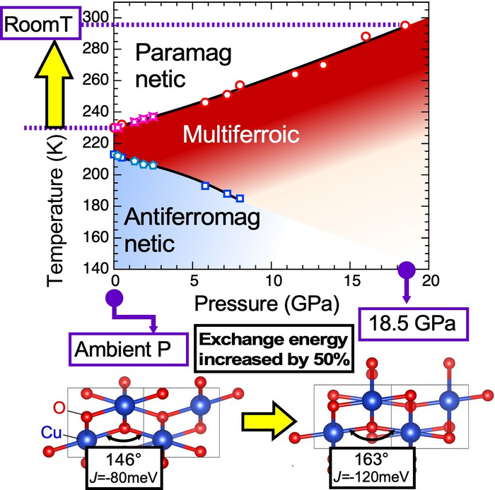 Phase diagram of CuO