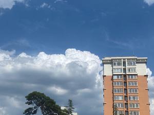 Developing cumulus clouds