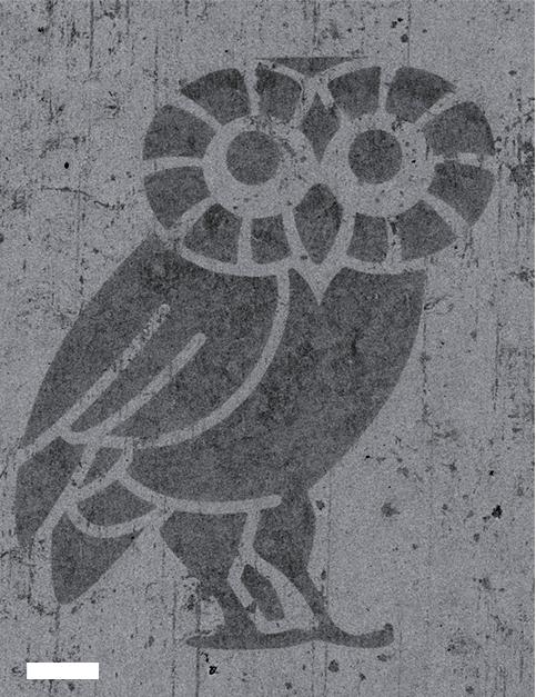 Atom-thick Rice Owl