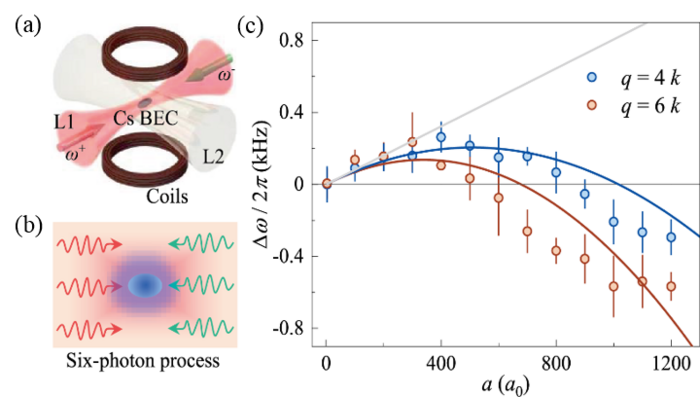 High-order Bragg spectra of interacting ¹³³Cs atoms