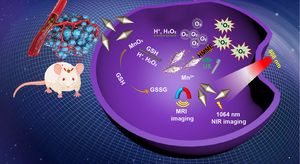 Schematic drawing of TME self-enhanced SDT and multimodal bioimaging.