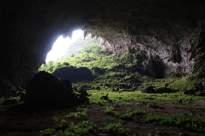 Yangzi Cave in Guangxi, China is an example of a karst cave
