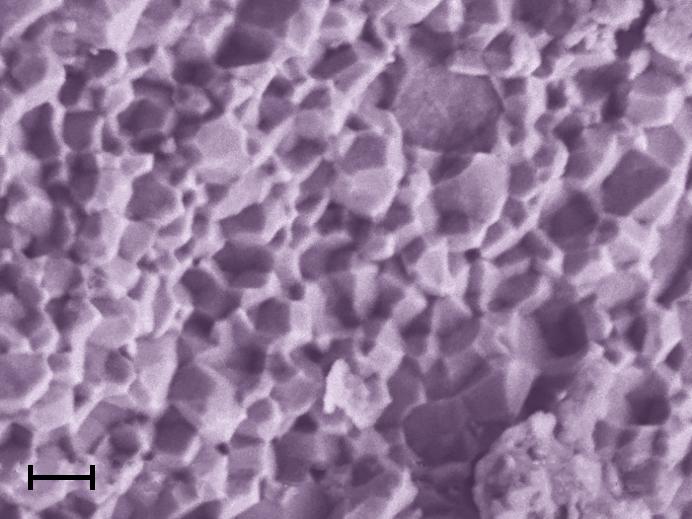 Neyodium Atoms Incorporated into the Aluminum Oxide Samples