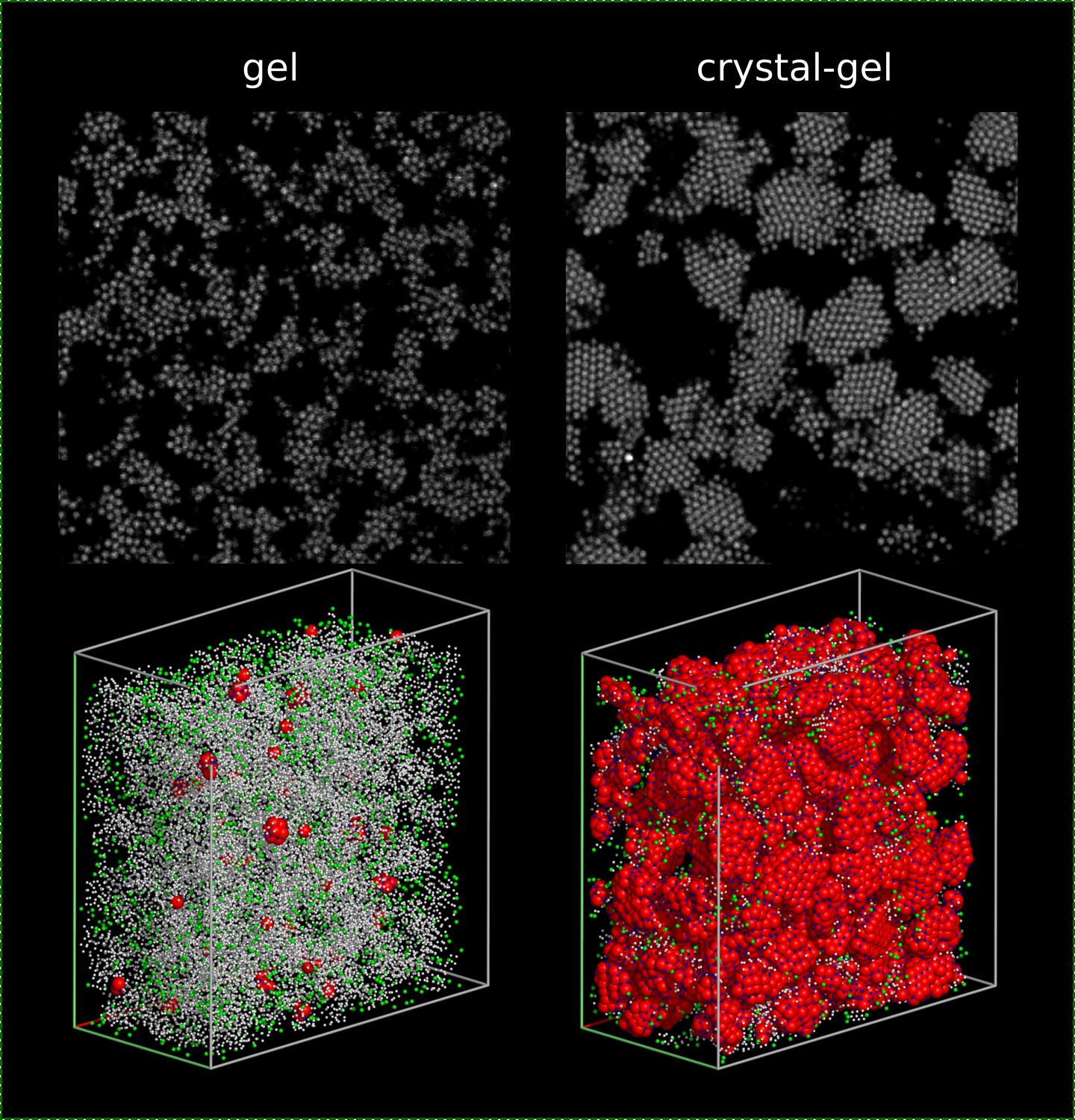 Comparison Between a Regular Colloidal Gel (Left Column) and the New Crystal-Gel Structure (Right Co