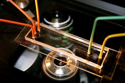 Image of Microfluidic Device for ETOP Project