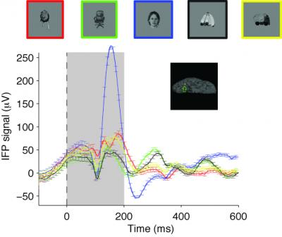 Fast, Selective Image Decoding