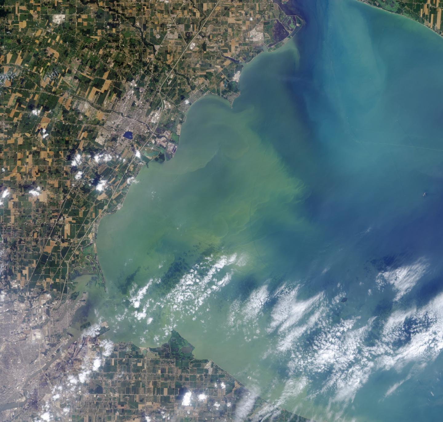 Algae from Clogged Waterways Could Serve as Biofuels and Fertilizer