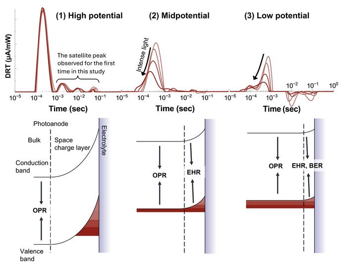 Recombination mechanisms in PEC water splitting at different potential regions