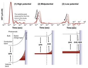 Recombination mechanisms in PEC water splitting at different potential regions