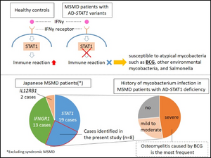 Autosomal dominant STAT1 deficiency is most prevalent in Japanese patients with Mendelian susceptibility to mycobacterial disease