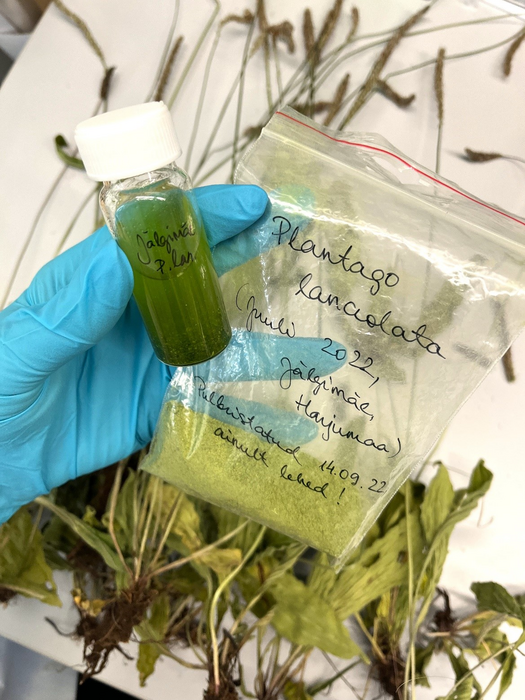 photo 2 (PilleRiin Laanet TalTech)