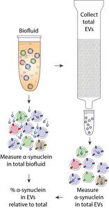 Measuring the true content of extracellular vesicles in blood