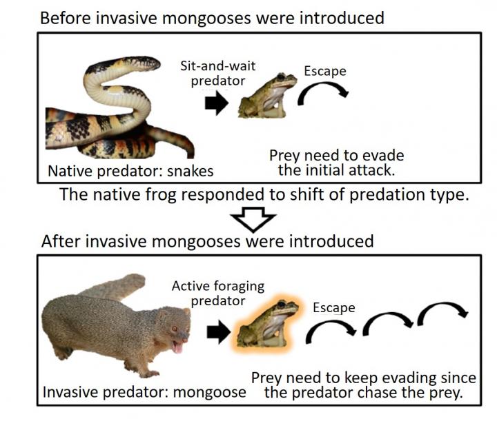 Graphical summary of the major findings of the research.