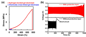 Mechanical strength of a hydrogen-bonded gel electrolyte and its protective effect on a lithium metal anode.