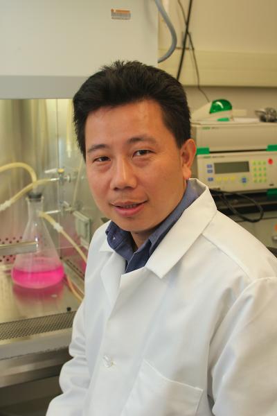 FSU Professor of Biological Science Hengli Tang