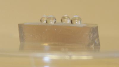 Four Drops of Ethanol Solution Placed on a <I>Bacillus subtilis</I> Biofilm Colony