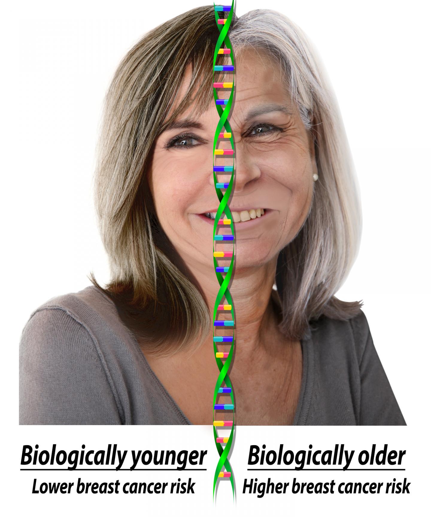A Graphical Representation of Biologic and Chronologic Age