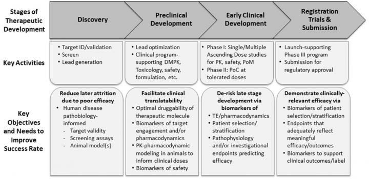 Key Stages of Therapeutic Discovery and Development