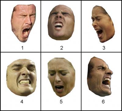 Facial Expressions -- What's Happening?