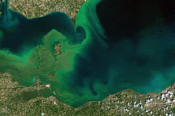 Algal blooms in Lake Erie