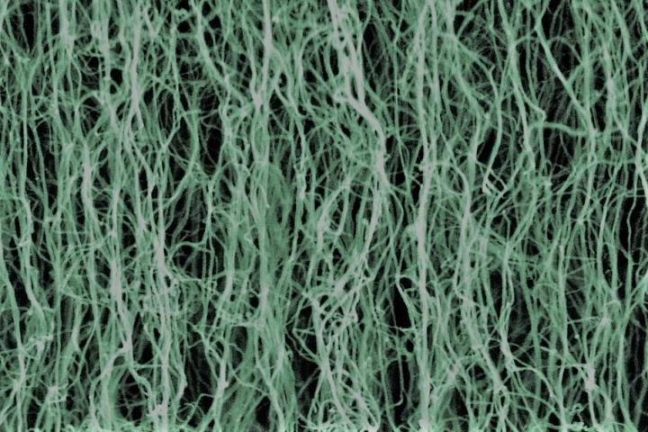 Nanotube Forests