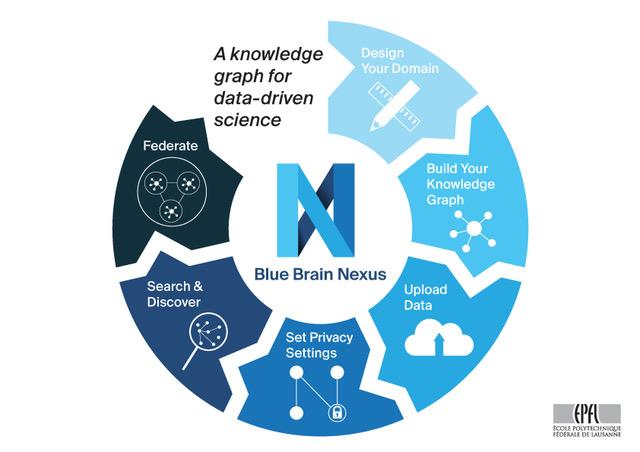 Blue Brain Nexus: Knowledge Graph Infographic