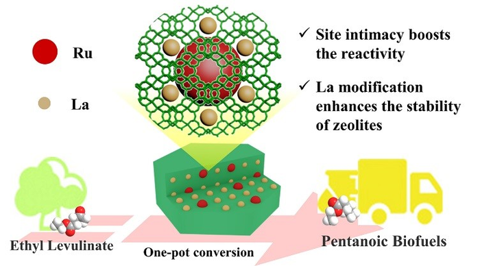 Zeolite-tailored active site proximity for the efficient production of pentanoic biofuels