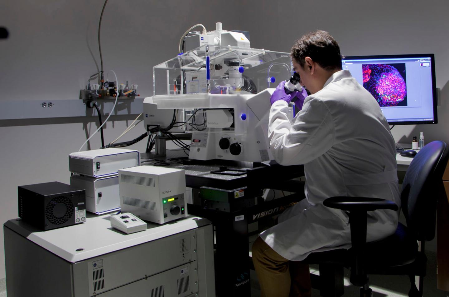 Vladimir Beljanski, Ph.D., Observes a Cell Using NSU's Confocal Microscope