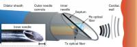 System for All-Optical Ultrasound Imaging through a Needle