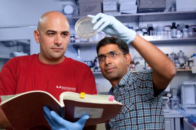 Dr. Satchidananda Panda and Dr. Luciano DiTacchio, Salk Institute