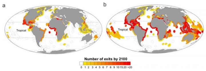 Ocean Warming Leading to Depletion of Fish Stocks