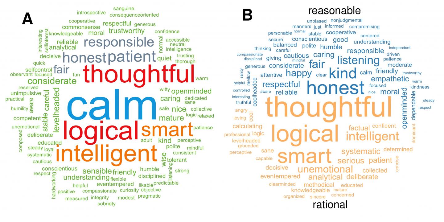 Rationality vs. Reasonableness: Which is Most | EurekAlert!