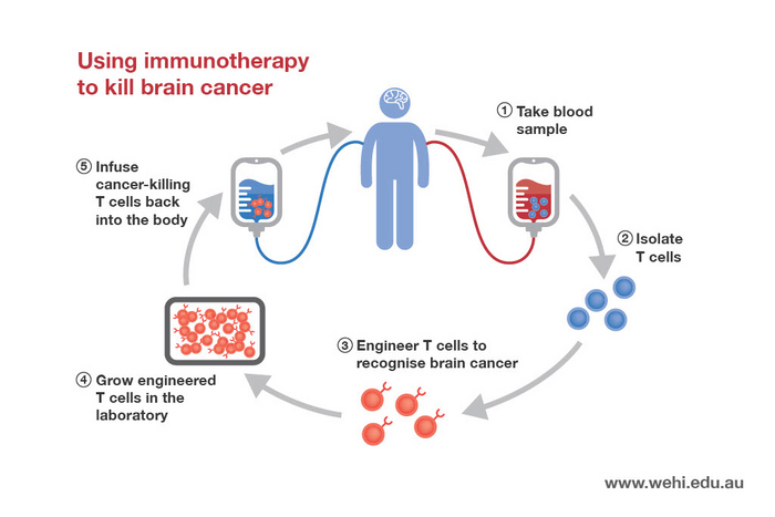 Immunotherapy infographic
