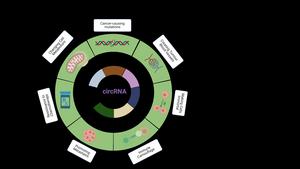 Hallmarks of cancer, created by BioRender.com