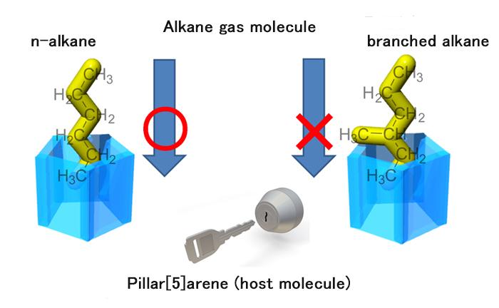 Figure 2: Configurational Selectivity of Pillar[5]arene for Alkane Molecule