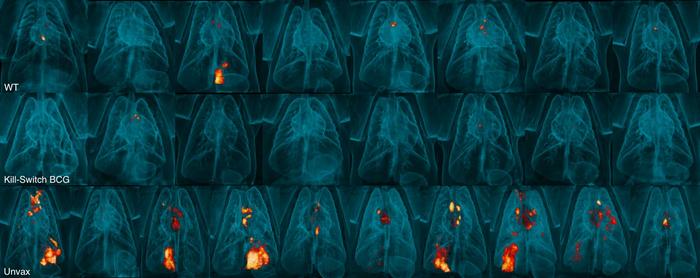 PET-CT scan images of monkey lungs