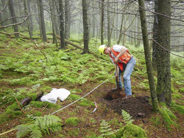 Taking Soil Sample